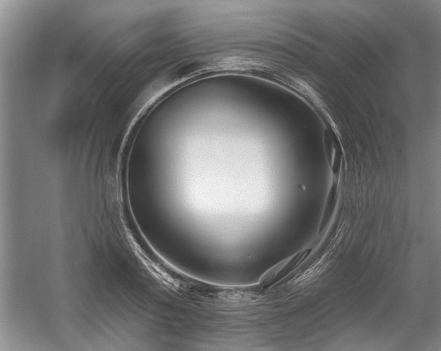 X0000059060795200510071040