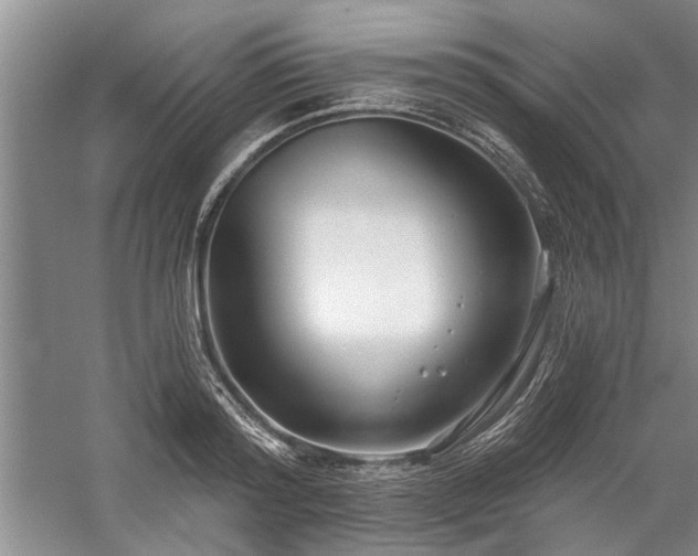 X0000059060796200510071040