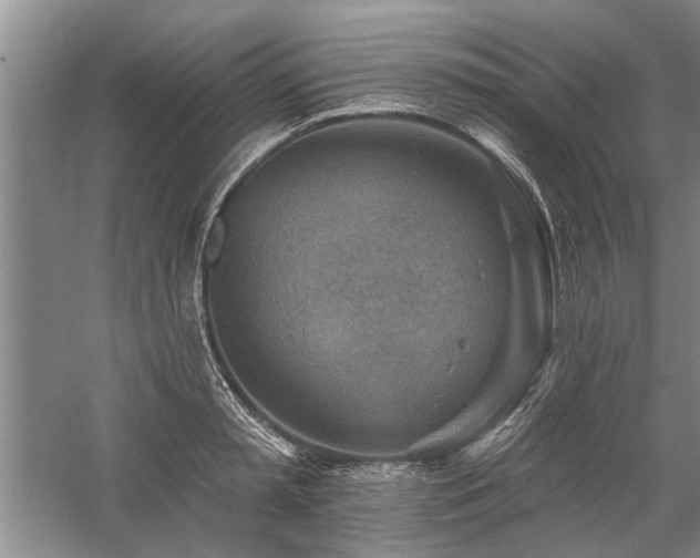 X0000059060797200510071040