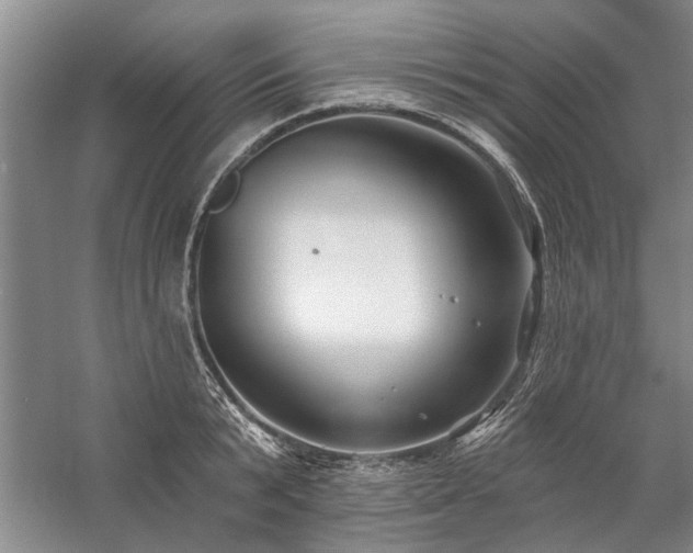 X0000059060799200510071040