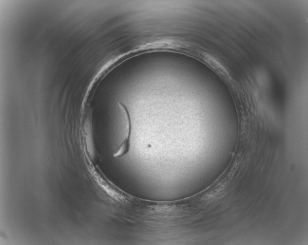 X0000059060800200510071040