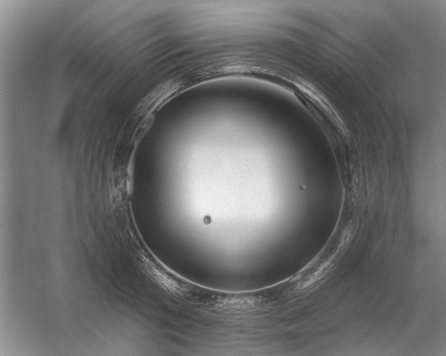 X0000059060801200510071040