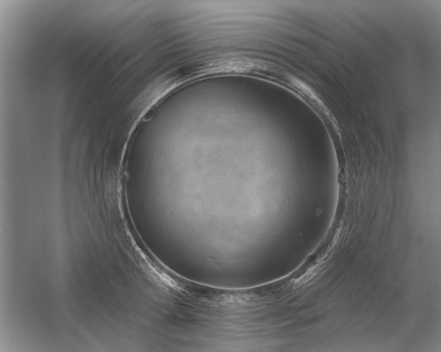 X0000059060802200510071040