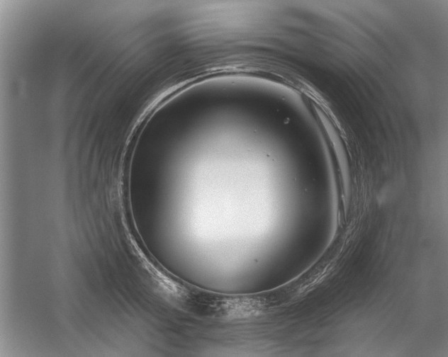 X0000059060803200510071040