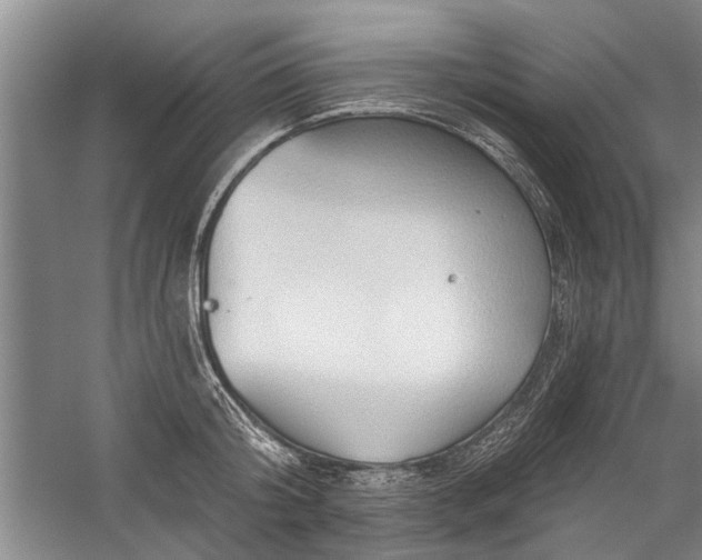 X0000059060804200510071040