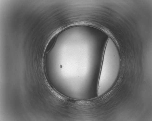 X0000059060805200510071040