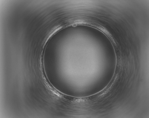 X0000059060806200510071040