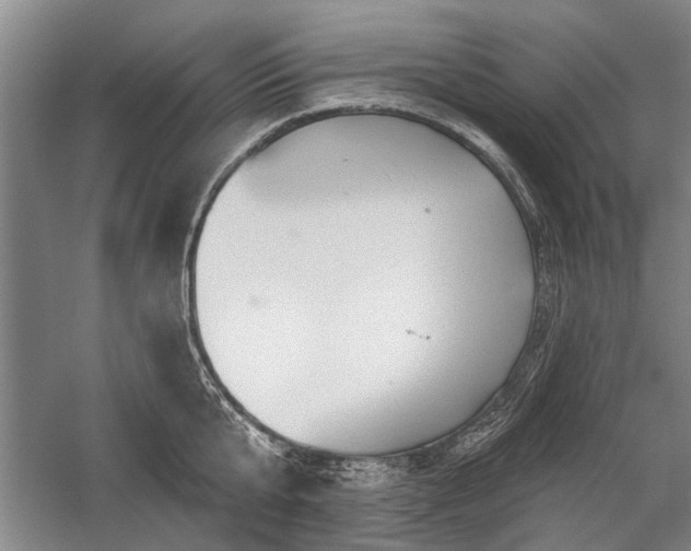 X0000059060807200510071040