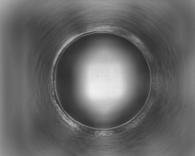 X0000059060808200510071040