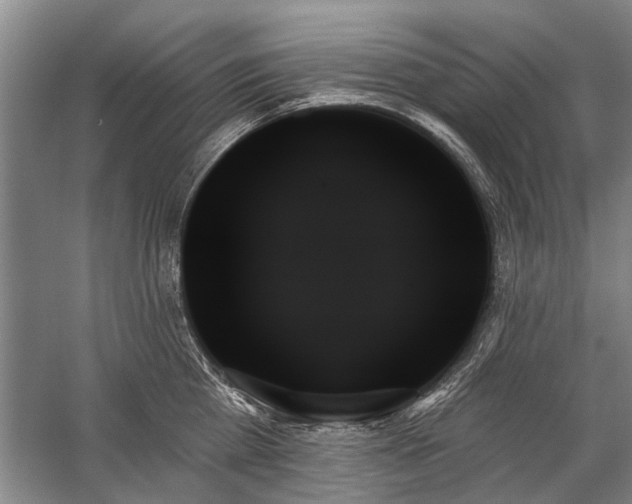 X0000059060809200510071040