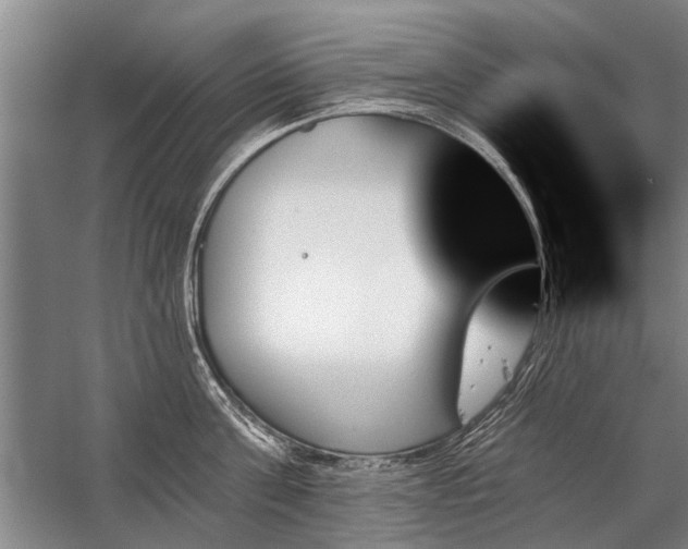 X0000059060811200510071040