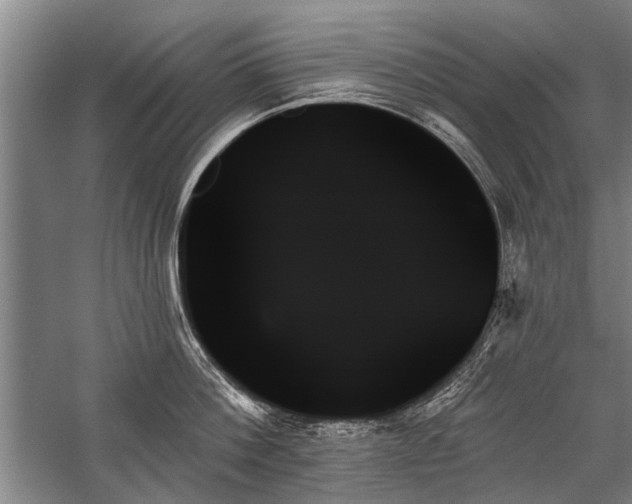 X0000059060812200510071040