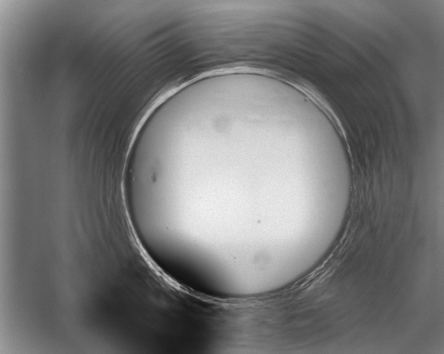 X0000059060813200510071040