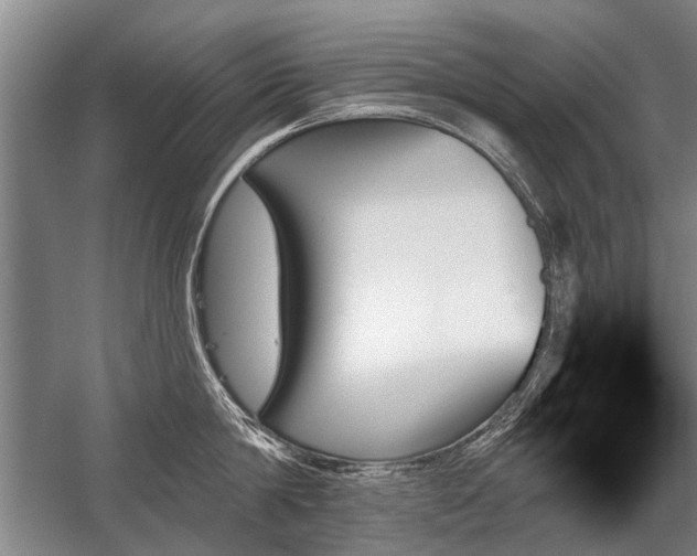 X0000059060814200510071040