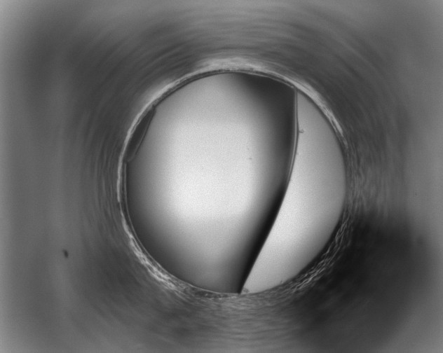 X0000059060815200510071040