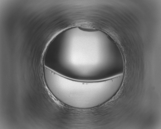 X0000059060816200510071040