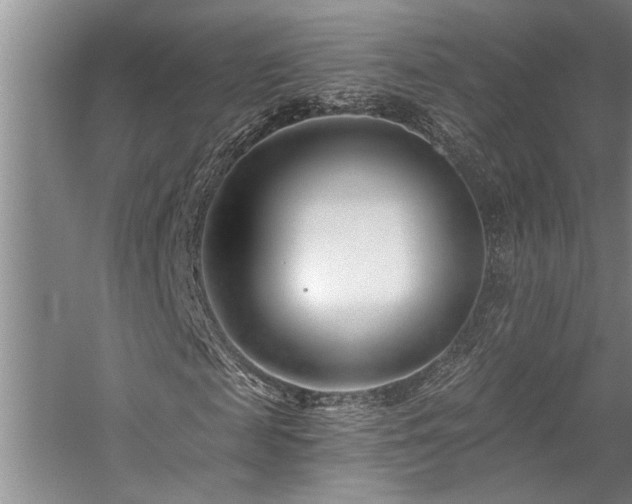 X0000059060817200510071039