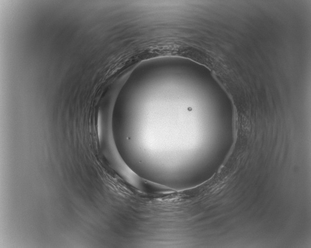 X0000059060818200510071039