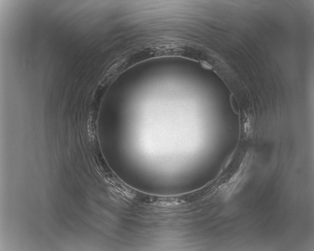 X0000059060819200510071039