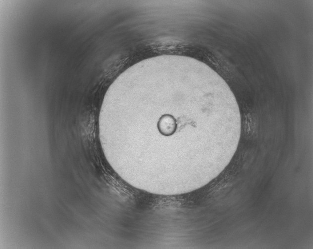 X0000059060820200510071039