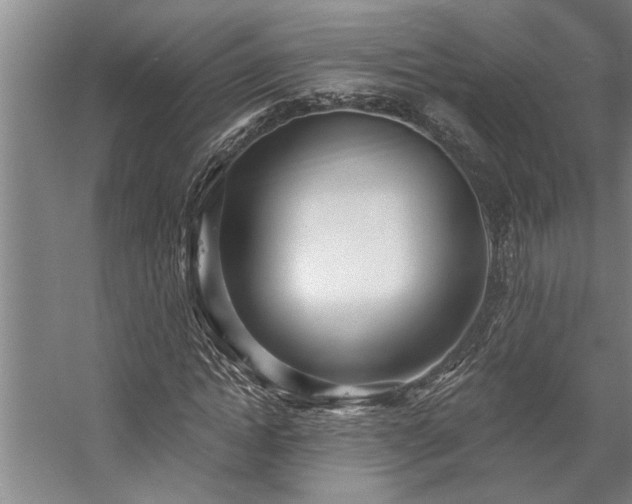 X0000059060822200510071039