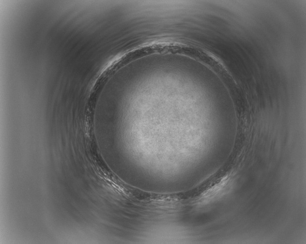 X0000059060823200510071039