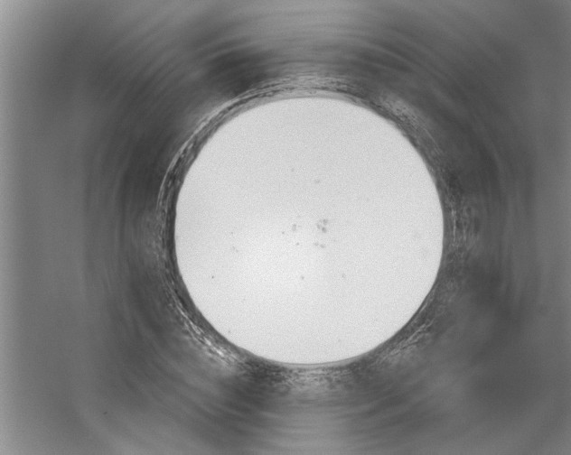 X0000059060828200510071040