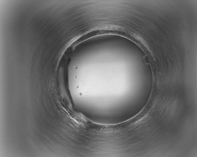 X0000059060829200510071040