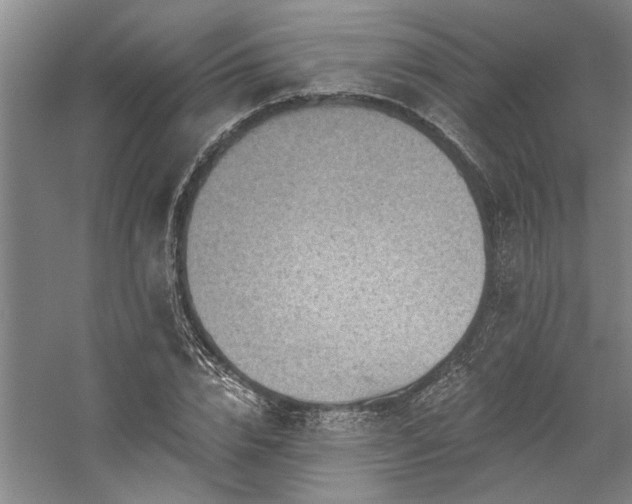 X0000059060832200510071040