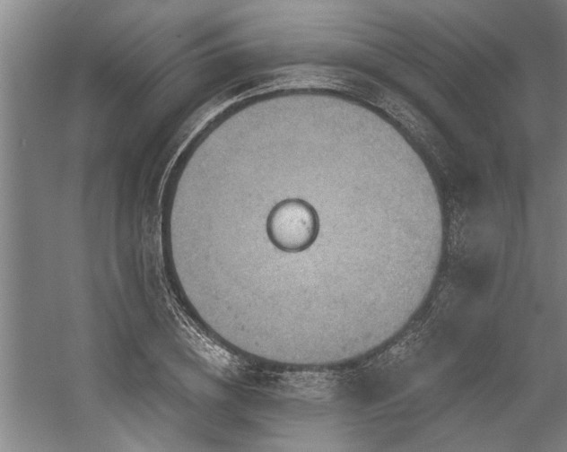 X0000059060836200510071040