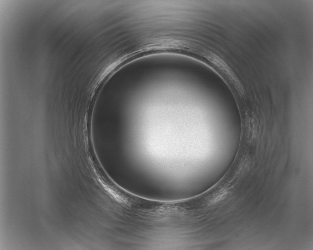 X0000059060842200510071040