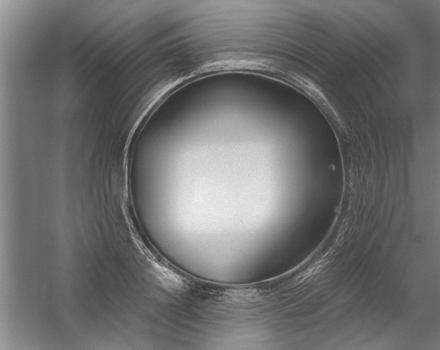 X0000059060844200510071040