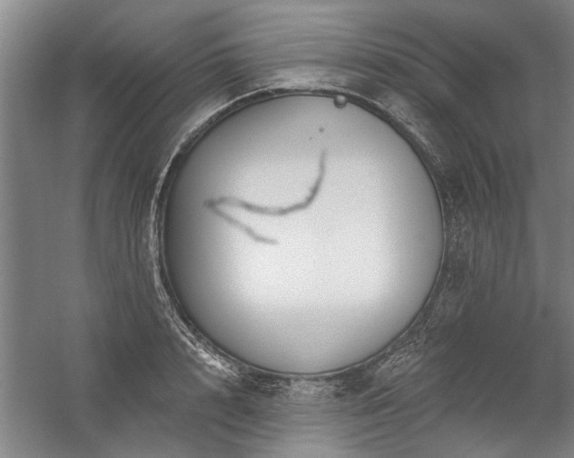 X0000059060848200510071040