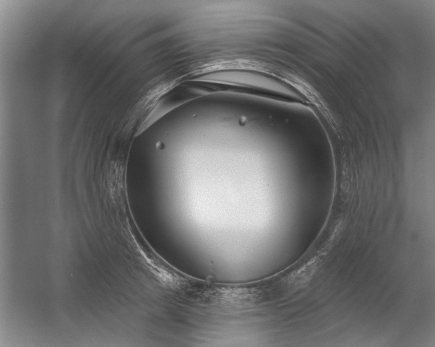 X0000059060849200510071040