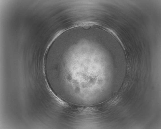 X0000059060851200510071040