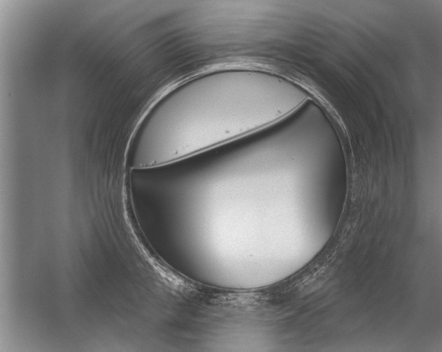 X0000059060853200510071040