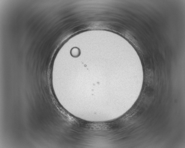 X0000059060856200510071040