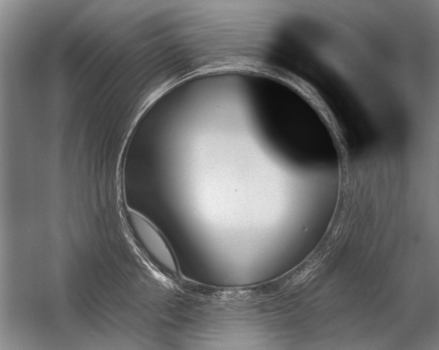 X0000059060858200510071040