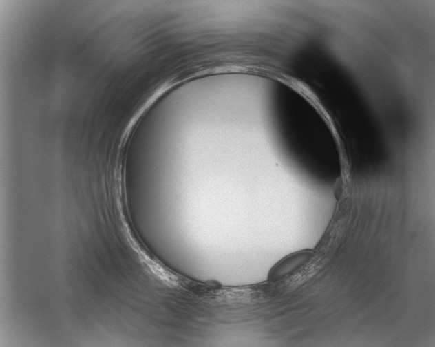 X0000059060859200510071040