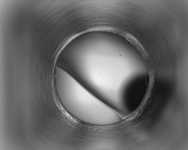 X0000059060860200510071040