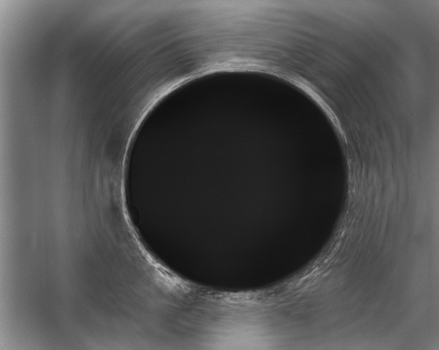 X0000059060861200510071040