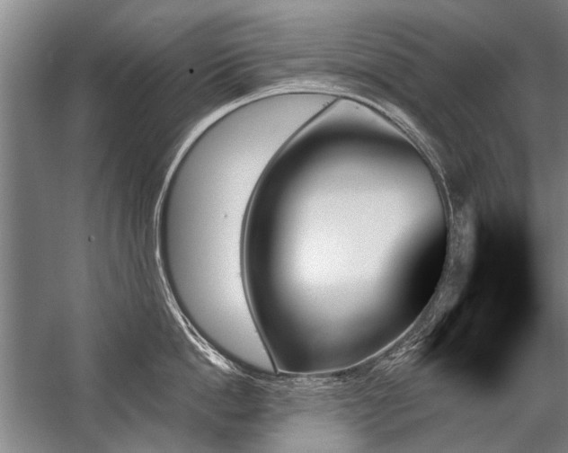 X0000059060862200510071040