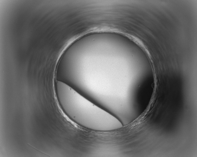 X0000059060863200510071040