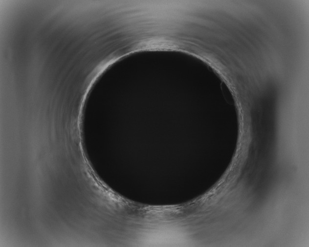 X0000059060864200510071040