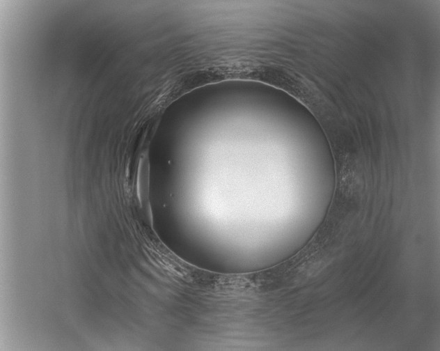 X0000059060866200510071039