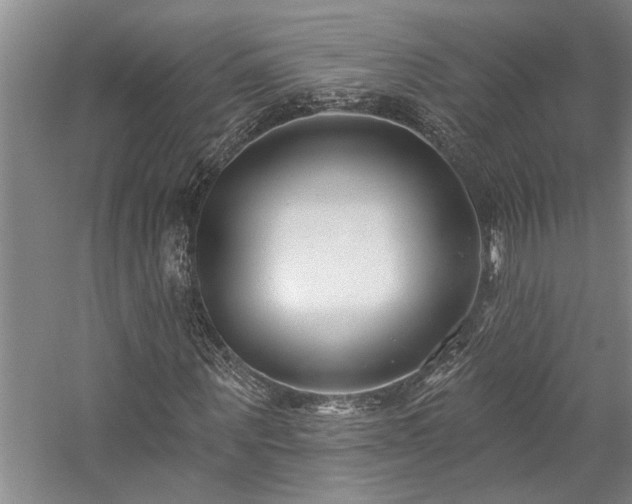 X0000059060867200510071039