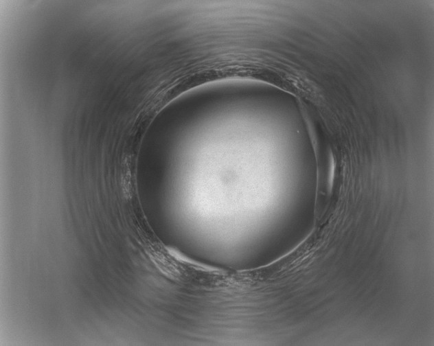 X0000059060868200510071039