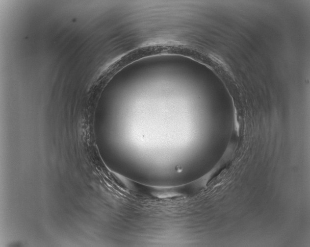 X0000059060872200510071039