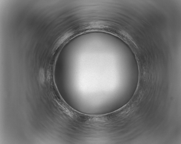 X0000059060874200510071039