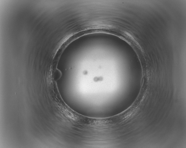 X0000059060875200510071039